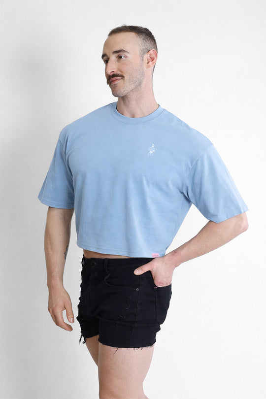 Oversized Relaxed Crop Top - Baby Blue